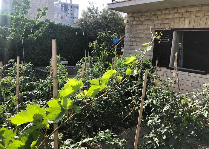 Garden スプリト