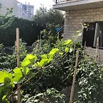 Garden Split