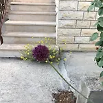 Appartement Garden