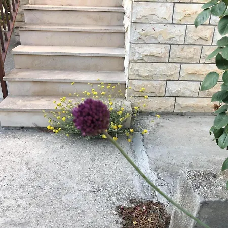 Appartement Garden