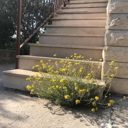 Apartment Garden *