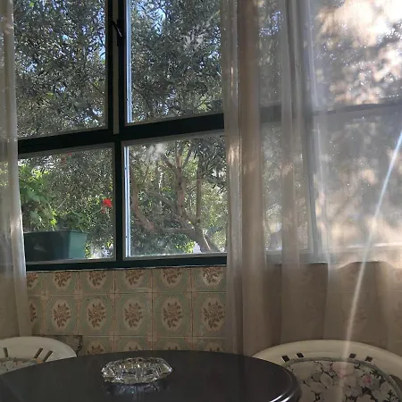 Lejlighed Garden Split