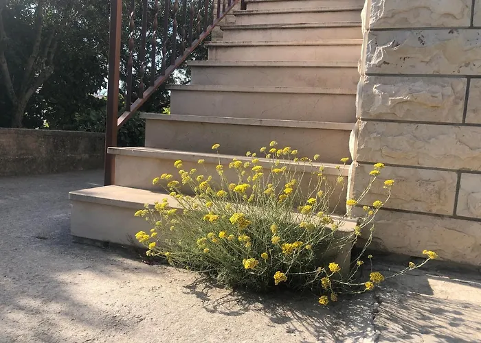 Apartament Garden *